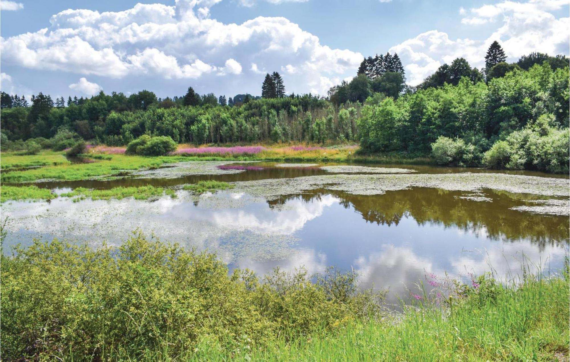 Villa Huenningen Bullange/Büllingen Esterno foto